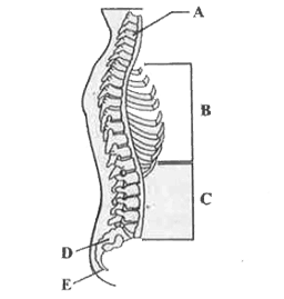 090074c4-42e7-256x269.png