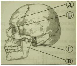 090074ew-c373-265x226.png