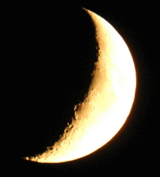 090074lw-cdbf-233x257.png