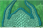 0900751g-0777-205x134.png