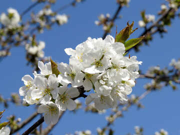 090075fq-c123-360x270.jpg
