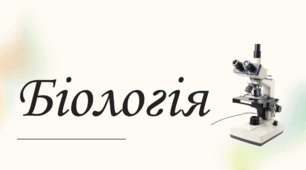 Якою буває поведінка тварин 