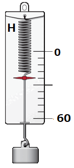 090075qe-d2ff-145x328.png