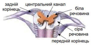 090076k9-f597-309x154.png