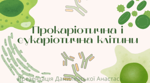 Прокаріотична та еукаріотична клітини