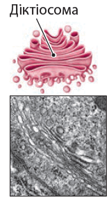 090078cu-48fb-160x287.png