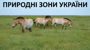Презентація до уроку: "ПРИРОДНІ ЗОНИ УКРАЇНИ"