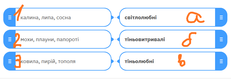 09007ayt-d065-769x263.png