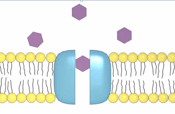 09007ex0-ce00-581x380.png