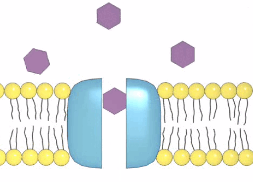 09007ex5-53c3-512x368.png