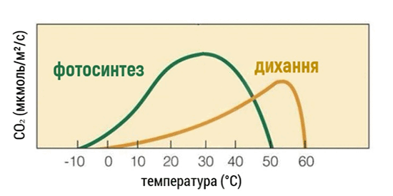 09007exl-3b69-550x275.png