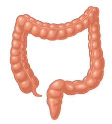 09007fns-89b5-226x251.png