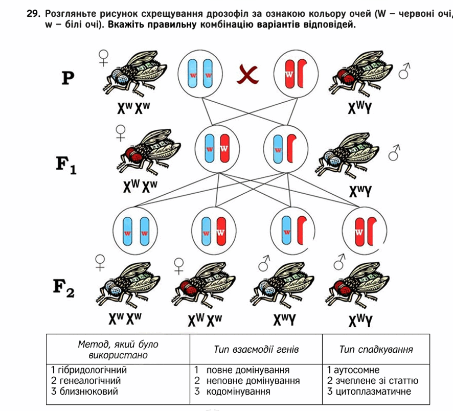 09007fp9-edf3-886x804.png
