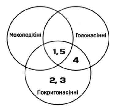 09007fr9-8730-398x355.png