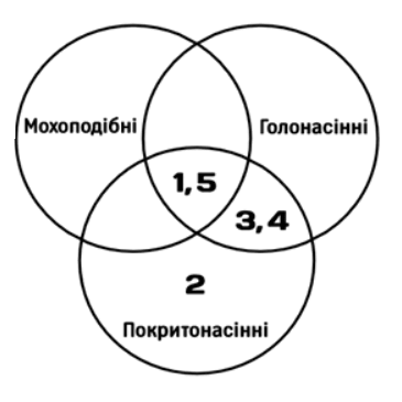 09007frs-9ac8-365x365.png