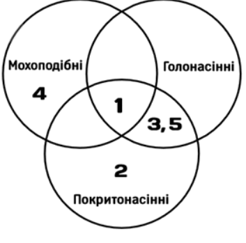 09007fs9-a4be-353x349.png