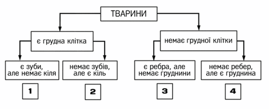 09007fvp-ea36-940x382.png