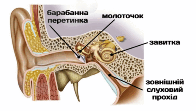 09007fvr-6a1d-653x370.png