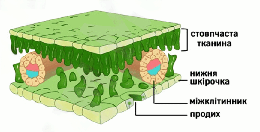 09007g3f-33df-866x440.png