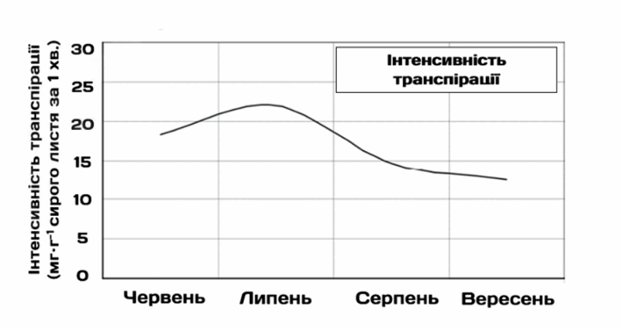 09007g3i-2697-900x477.png