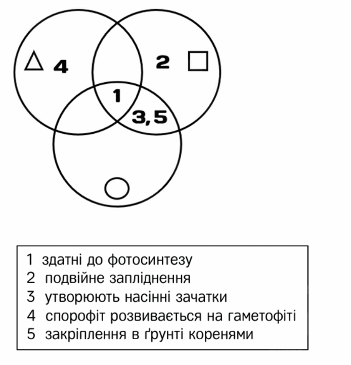 09007g3j-eb7c-694x723.png