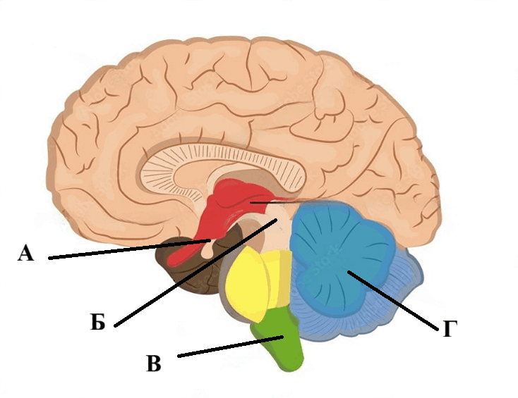 09007g4b-15a2-734x565.png