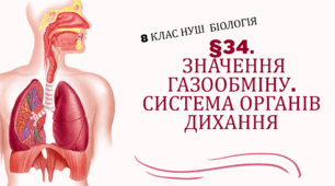 Презентація  до уроку  «§34. Значення газообміну. Система органів дихання»  8клас НУШ