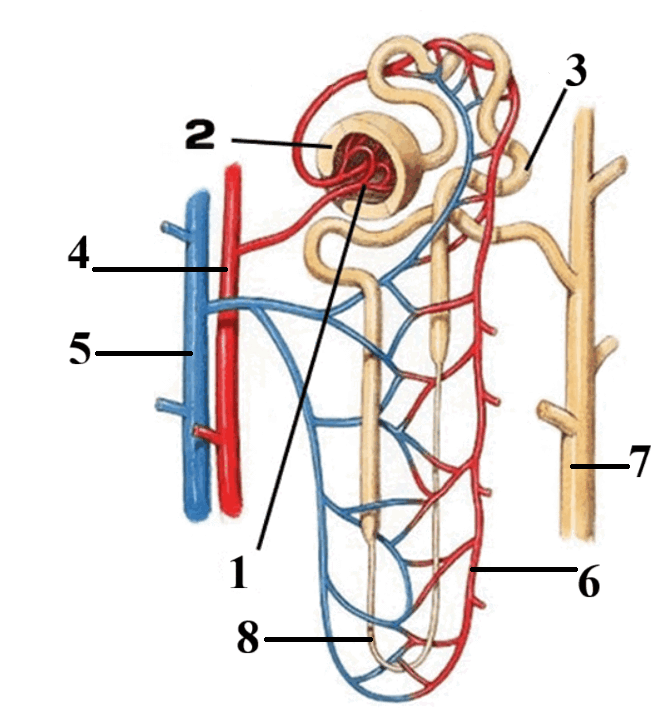 09007gcb-5f44-662x721.png