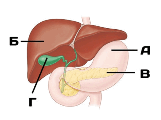 09007gcm-03c4-645x482.png