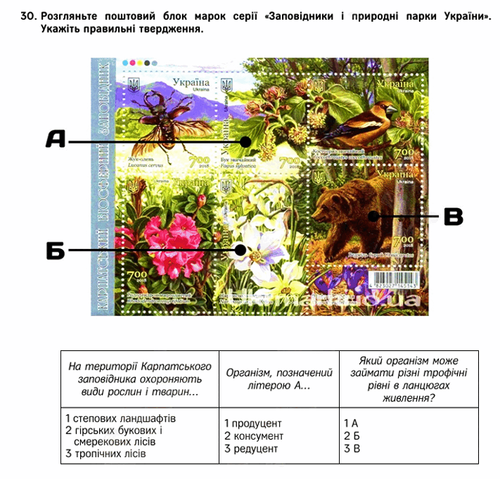 09007gf5-ab6e-711x681.png