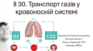 § 30. Транспорт газів у кровоносній системі