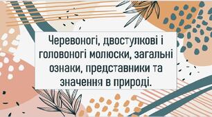 Черевоногі, двостулкові і головоногі молюски, загальні ознаки, представники та значення в природі.