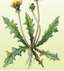 09007h93-b559-129x142.png