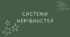 13 Системи нерівностей