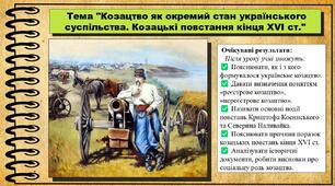 Козацтво як окремий стан українського суспільства. Козацькі повстання кінця XVI ст. 8 клас (НУШ). Історія України. За підручником авторів Пометун О. та інші.