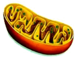 09007i3j-2187-157x124.png