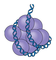 09007ic9-9c3d-239x259.png