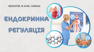 Ендокринна регуляція. 8 клас НУШ.