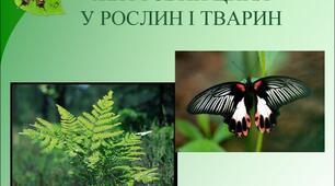 Життєвий цикл