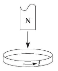 09007kdu-45f4-117x144.png