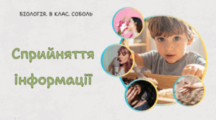 Сприйняття інформації. 8 клас НУШ