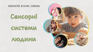 Сенсорні системи людини. 8 клас НУШ