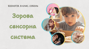 Зорова сенсорна система. 8 клас НУШ