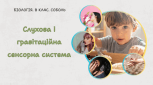 Слухова і гравітаційна сенсорна система. 8 клас НУШ