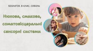  Нюхова, смакова, соматовісцеральні сенсорні системи. 8 клас НУШ