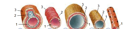 09007mga-e8cd-532x118.png