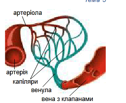 09007mhe-e364-255x208.png
