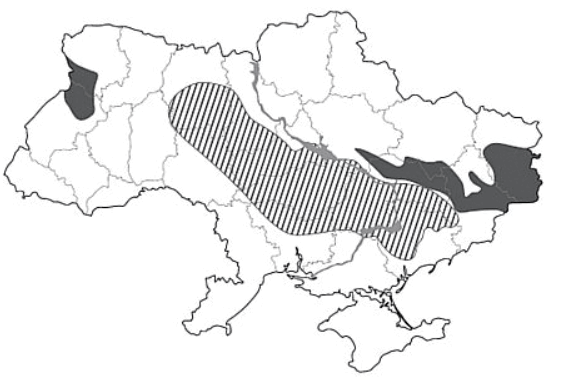 09007n6f-bf63-567x379.png