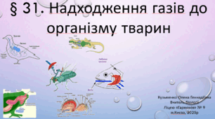 § 31. Надходження газів до організму тварин(профіль)