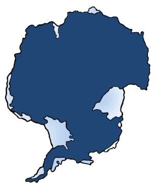 09007p49-5fa9-303x369.png